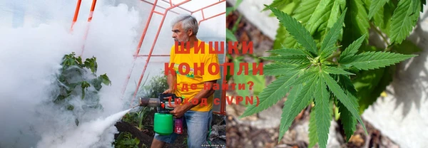 герыч Дмитриев