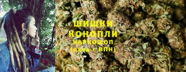 гашик Дмитровск