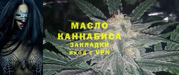 гашик Дмитровск