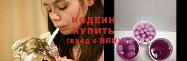 гашик Дмитровск