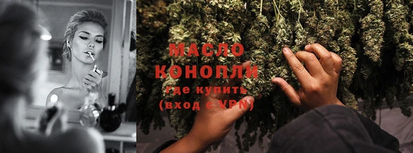 гашик Дмитровск