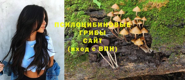 гашик Дмитровск