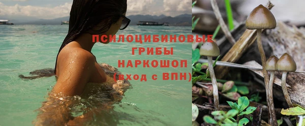 гашик Дмитровск