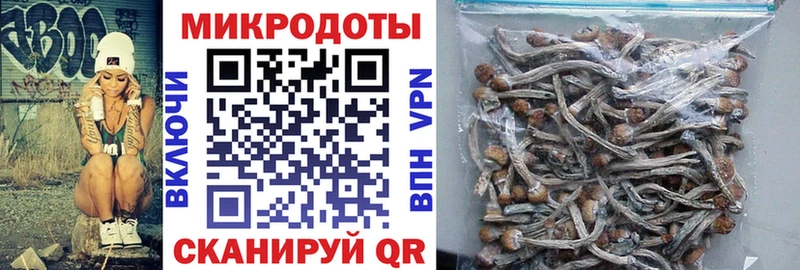 купить наркоту  Обь  Галлюциногенные грибы Psilocybine cubensis 