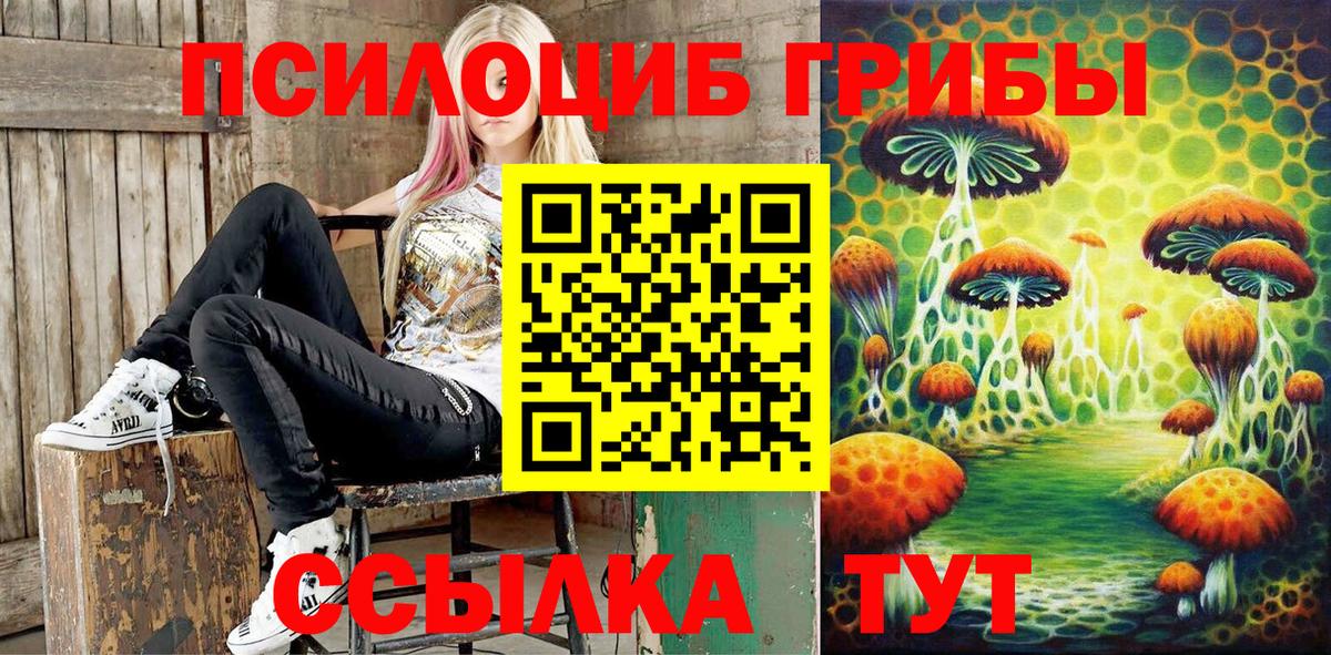 Галлюциногенные грибы Psilocybine cubensis  Псилоцибиновые грибы GOLDEN TEACHER  Обь  Вход с VPN 